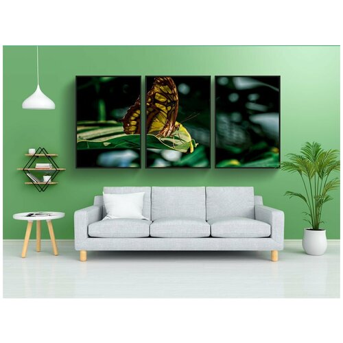 фото Набор модулных постеров для интерьера "бабочка, экзотика, эдельфальтер" 60x90 см. в тубусе, без рамки lotsprints