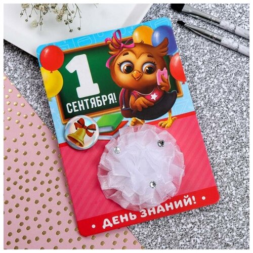 фото Набор первоклассницы резинка + значок "сова", 10 х 14 см 4764134 сима-ленд