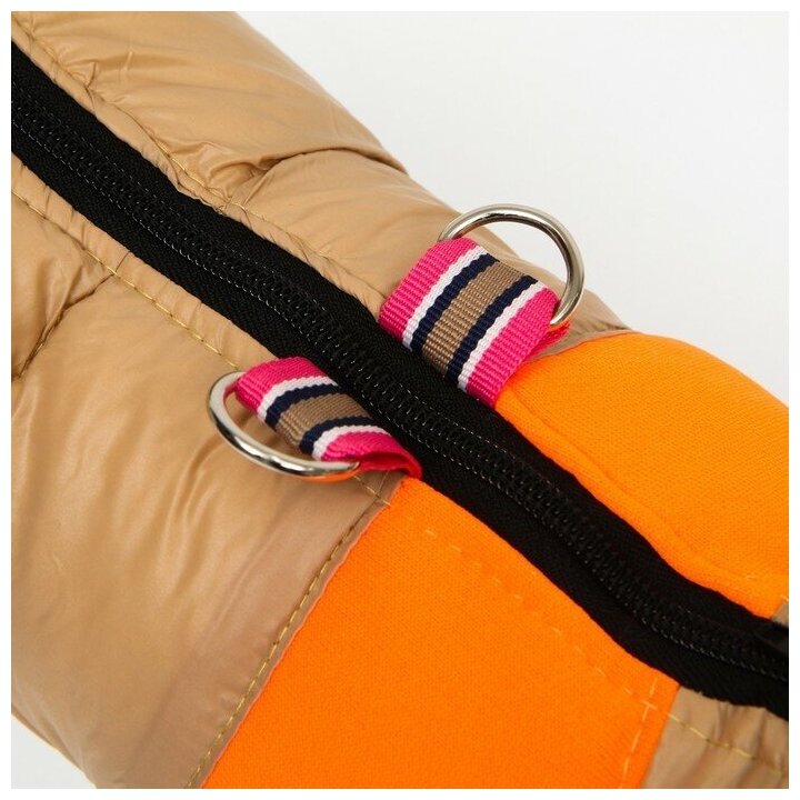 Куртка для собак на молнии, размер 8 (ДС 23 см, ОГ 30, ОШ 22 см), бежевая с оранжевым - фотография № 6