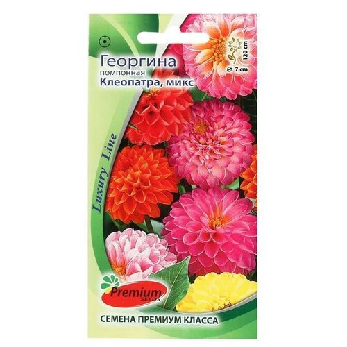 Семена цветов Георгина помпонная Клеопатра, микс, 0,1 г 10 упаковок