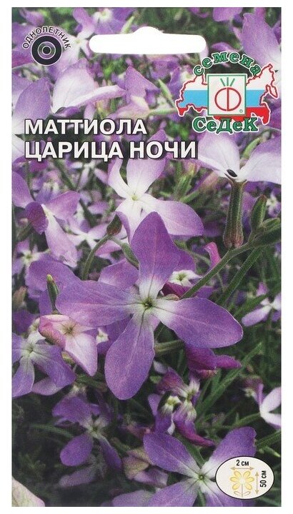 Семена цветов Маттиола 