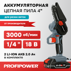 Аккумуляторная цепная пила ProfiPower MKGSD-18V 0-3000 об/мин (Li-ion-2шт, 2.0Ач, З/У) ProfiPower