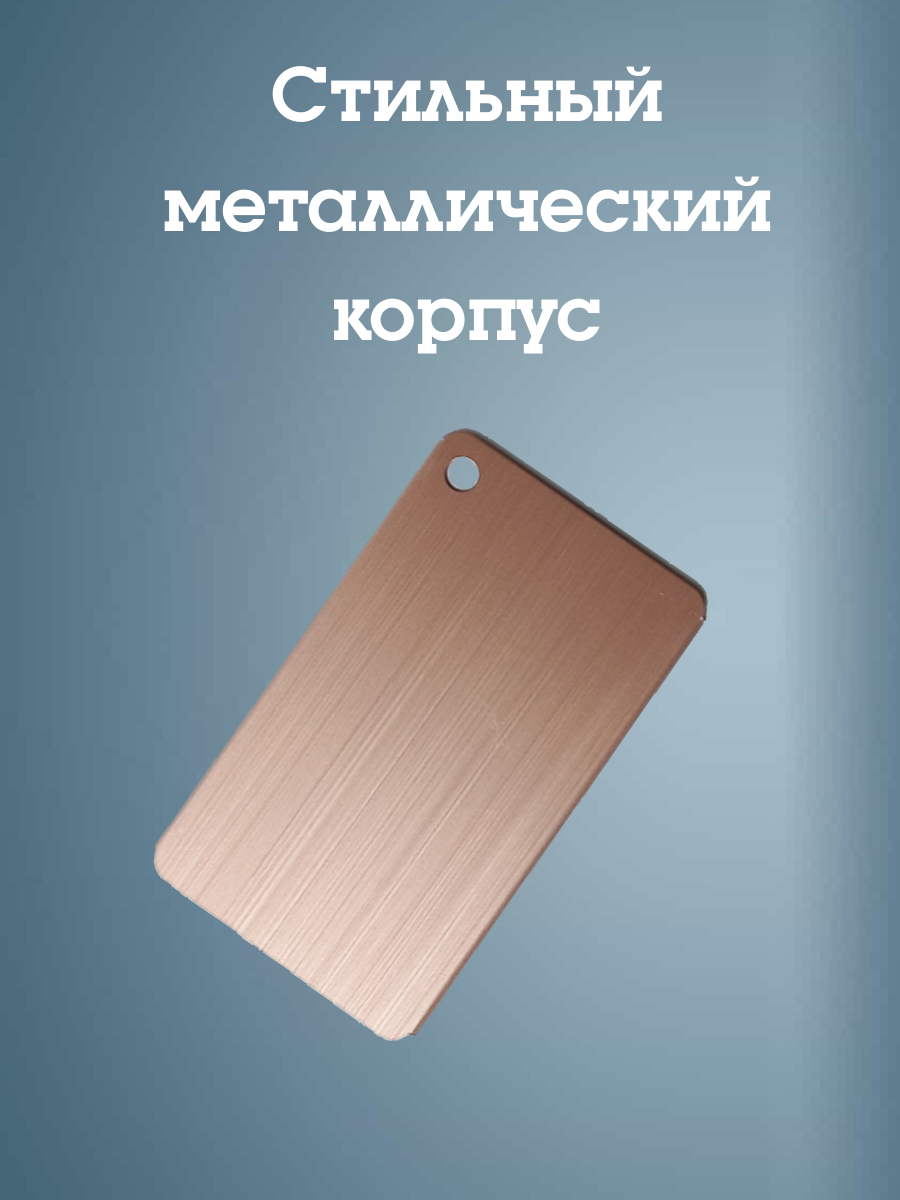 Бирка для багажа Melody, металлическая, хомут, вертикальная, бежевый цвет — фото 1