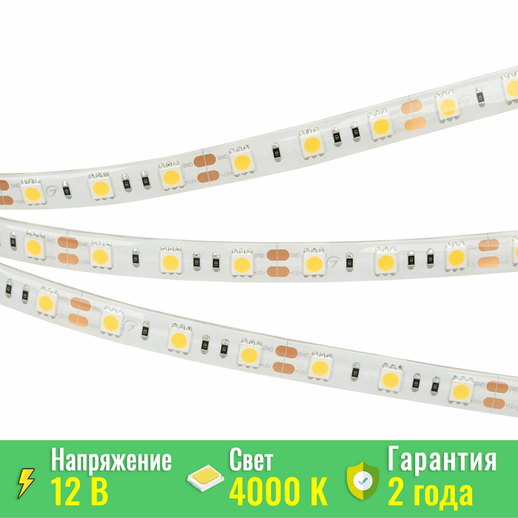 Светодиодная лента герметичная RTW-SE-B60-10mm 12V Day4000 (14.4 W/m, IP65, 5060, 5m) (Arlight, 14.4 Вт/м, IP65) 015453(2)