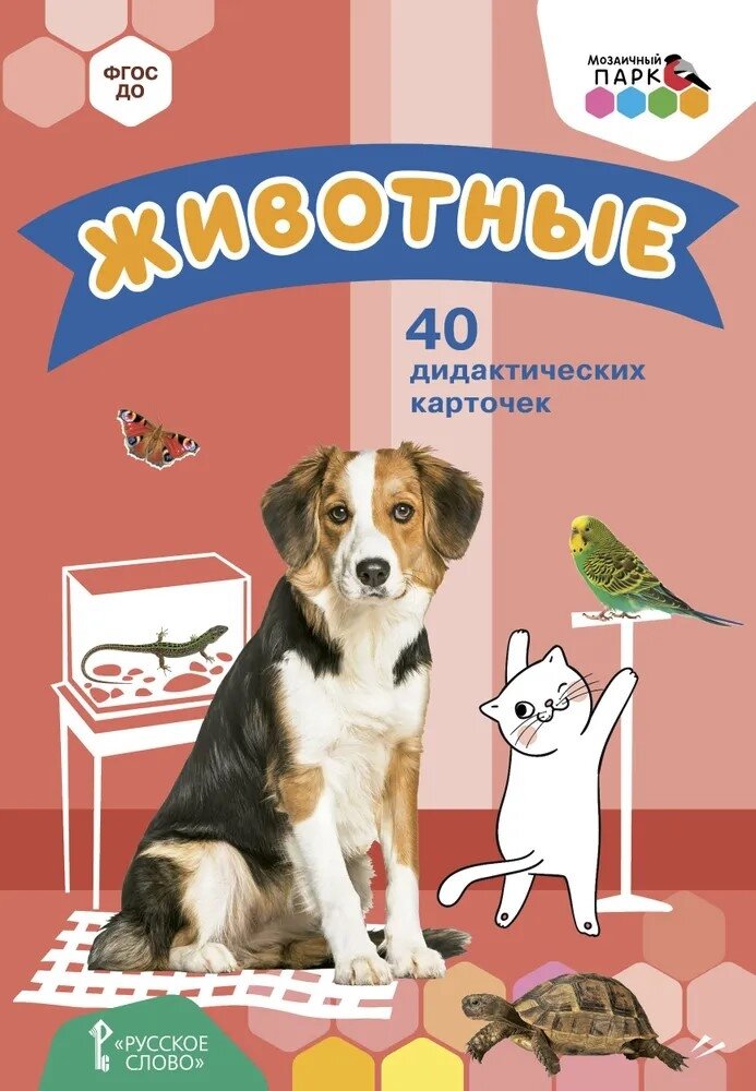 Животные. 40 дидактических карточек
