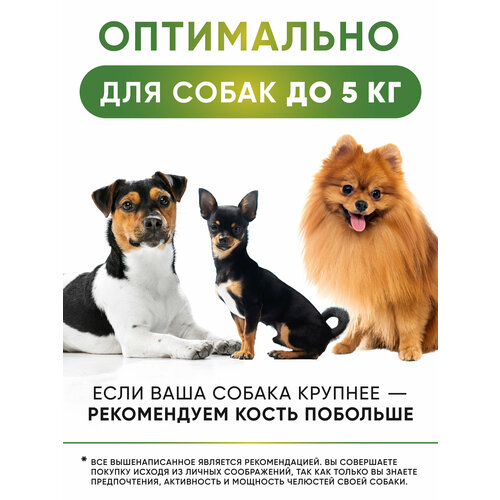 Ножка барана 20 шт, лакомство для маленьких собак, косточки для собак для зубов