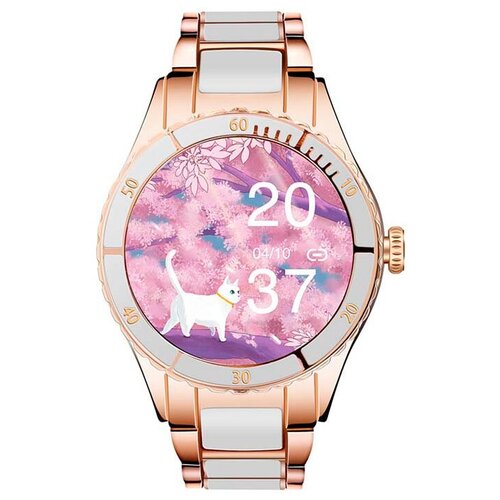 BandRate Smart BRSZ73GWGW 977500₽