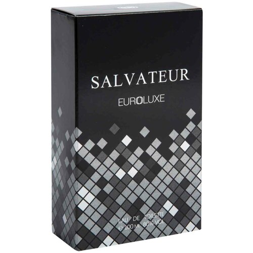 Euroluxe Туалетная вода для мужчин Salvateur (Сальватер) фужерный, спрей 100 мл в футляре