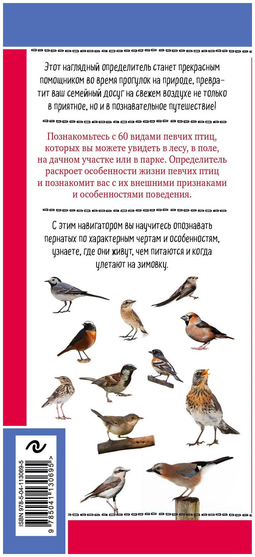 Певчие птицы. Обитатели лесов и полей - фото №2