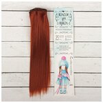 Волосы - тресс для кукол «Прямые» длина волос: 25 см, ширина: 100 см, цвет № 350 - изображение