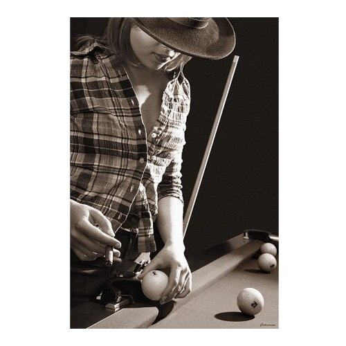 Постер AFG Profi 02034 50?70см