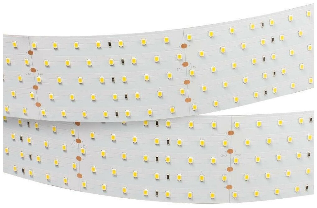 019083(1) Лента RT 2-2500 24V Cool 8K 5x2 (2835, 875 LED, LUX) (ARL, 36 Вт/м, IP20)