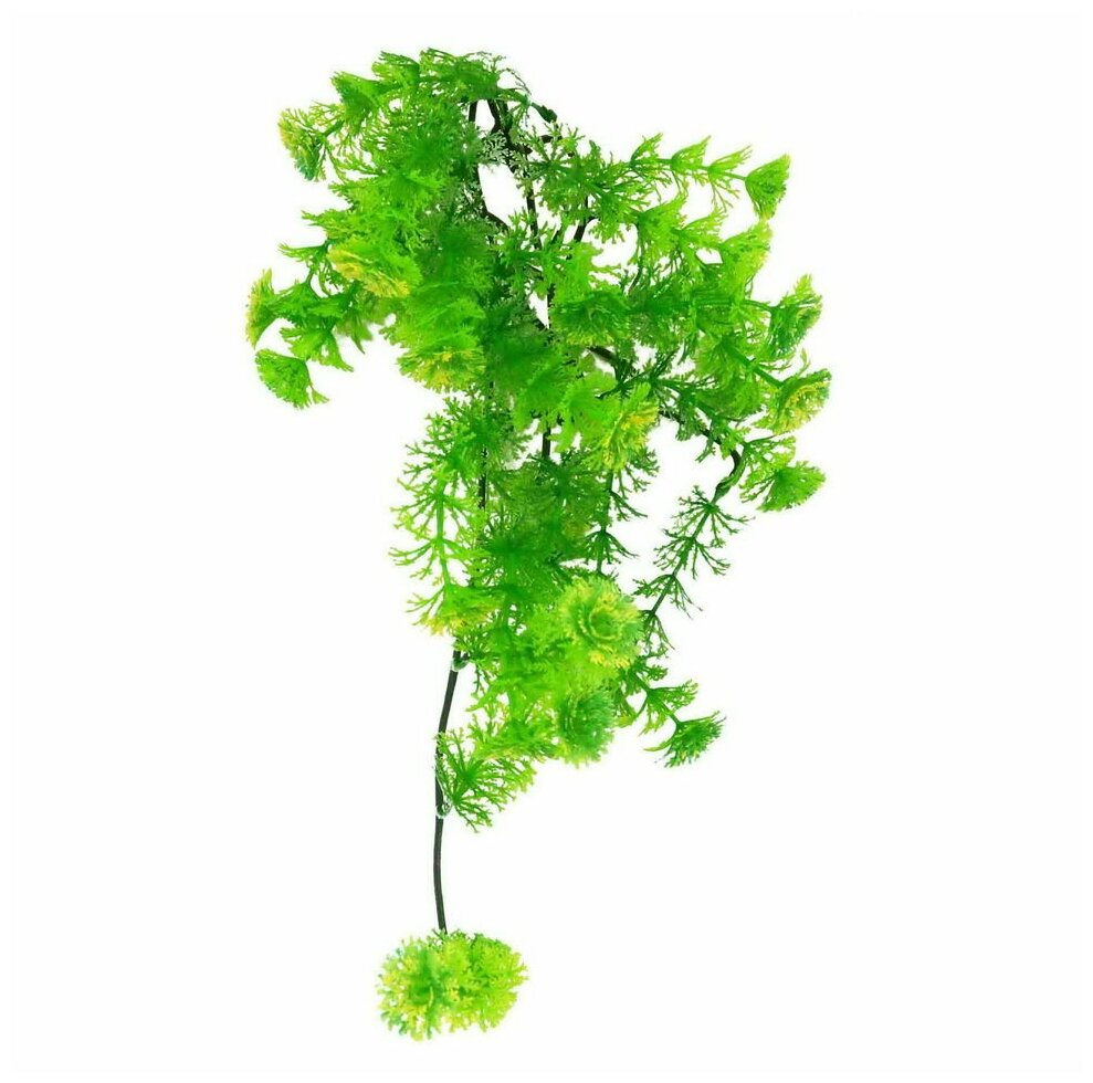 Декоративное растение для террариумов LUCKY REPTILE "Turtle Plant Horn Fern", 40см (Германия)