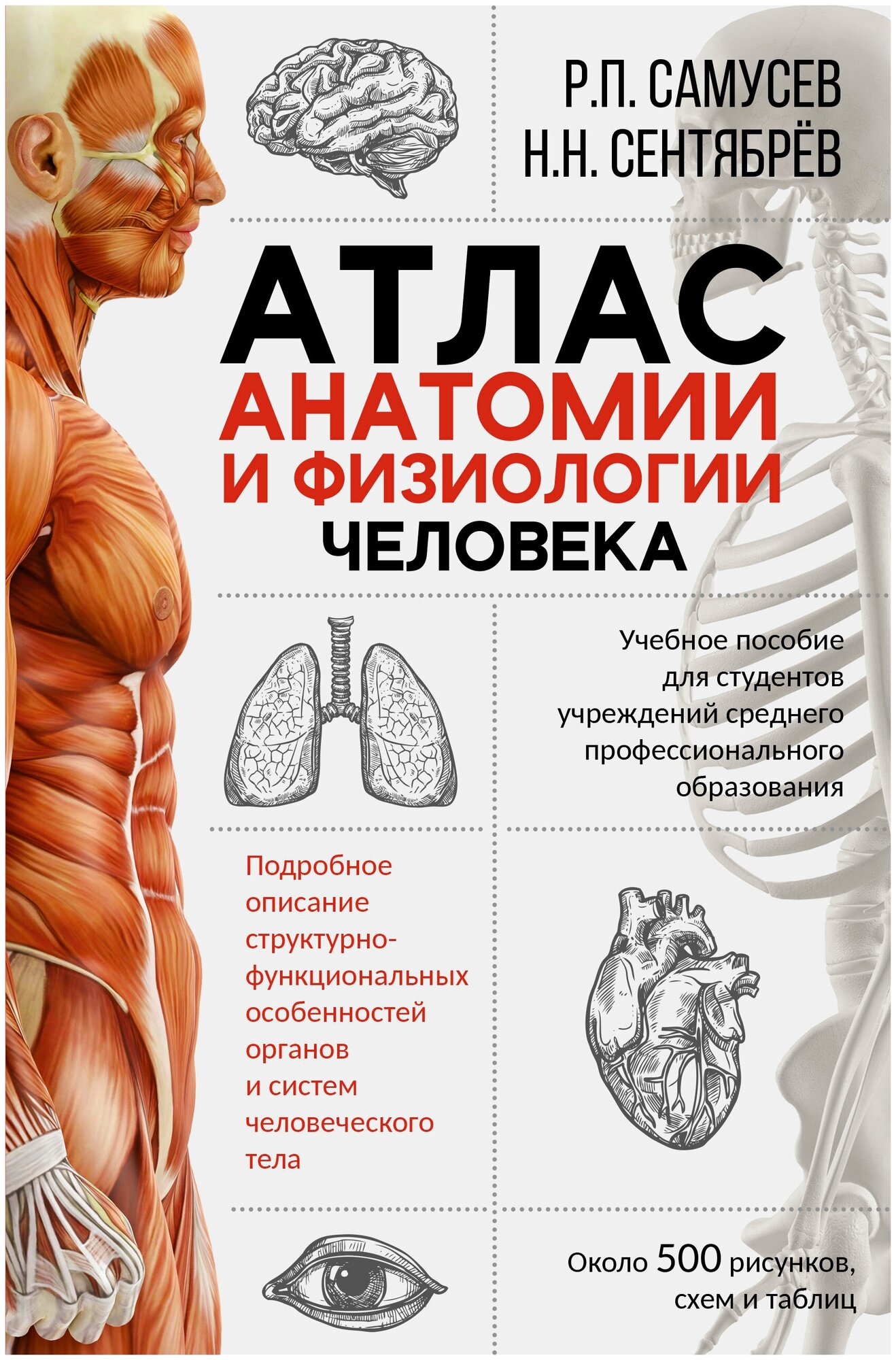 Атлас анатомии и физиологии человека. Учебное пособие для студентов учреждений среднего профессионального образования