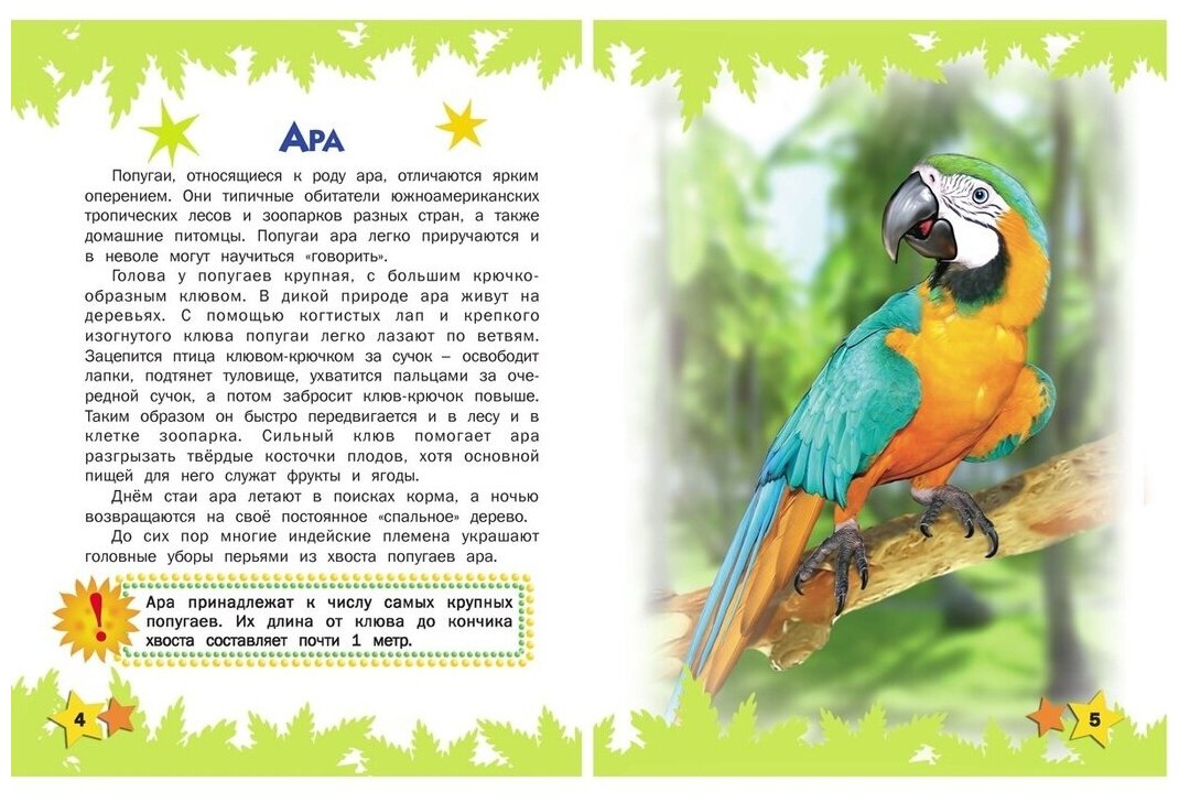 Атлас животных для малышей (Комзалова Татьяна Александровна) - фото №3