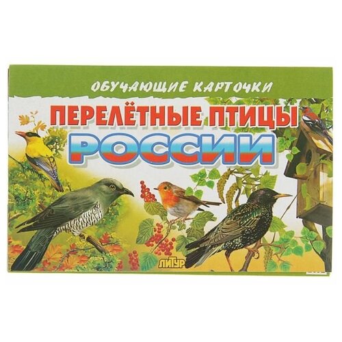 Обучающие карточки «Перелётные птицы России», 16 карточек обучающие карточки зимующие птицы россии 16 карточек