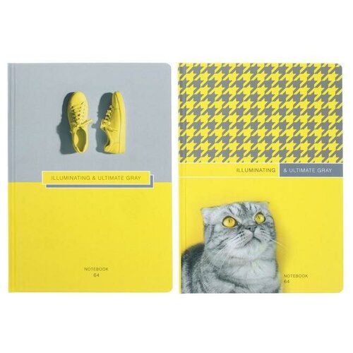 BG Бизнес-блокнот А5, 64 листа в клетку 