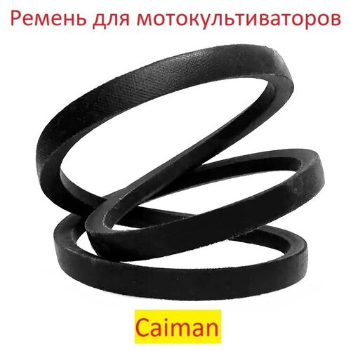 Ремень приводной мотоблоков и культиваторов CAIMAN ELITE 60S D2, 0306030024 ремень приводной для мотокультиватора pubert elite 65 bc2 13609a 0306030024 la41