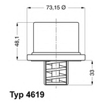 Термостат Wahler арт. 4619.80 - изображение