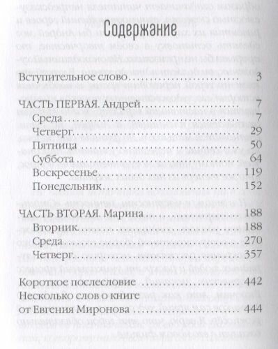 Странники терпенья (Алеников Владимир Михайлович) - фото №2