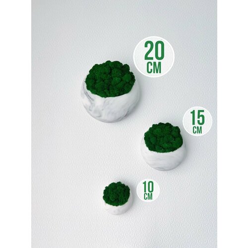 Настенное кашпо и стабилизированный мох 2799₽