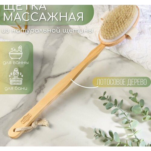 Щётка массажная из натуральной щетины, с ручкой, гладкая