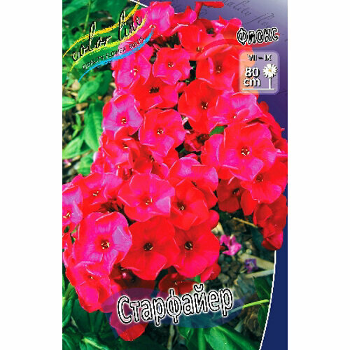 Флокс метельчатый Starfire (1 шт.)