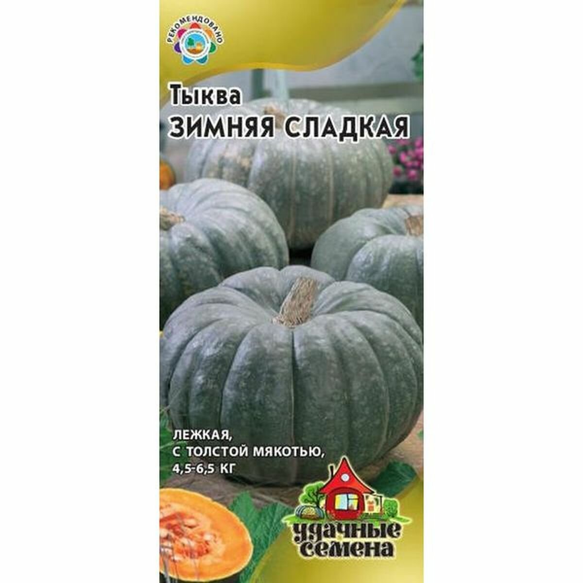 Семена Тыква Зимняя сладкая позднеспелый Удачные семена 1 пачка - 2г семян