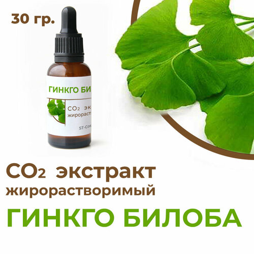 фото Со2 экстракт гинкго билоба, 30 гр. st-cosmetics