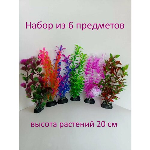 Растения для аквариума