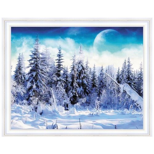 алмазная мозаика картина в зимнем лесу 43 5 55см Алмазная мозаика на подрамнике 40*50 Планета в зимнем лесу