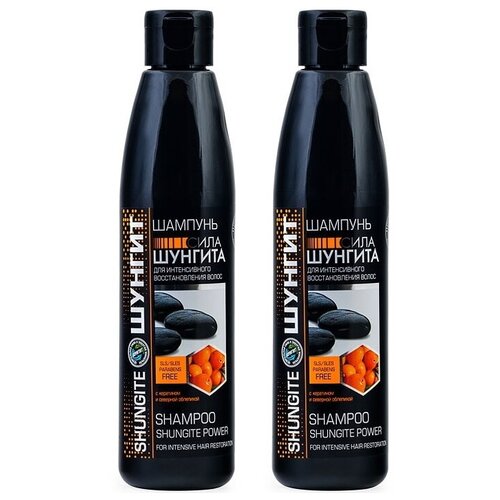 Шунгит, Шампунь Сила Шунгита для интенсивного восстановления волос, 330 мл - 2 штуки