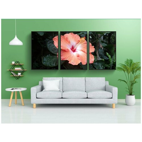 фото Набор модулных постеров для интерьера "роза шарона, корейский цветок, национальный цветок кореи" 60x90 см. в тубусе, без рамки lotsprints