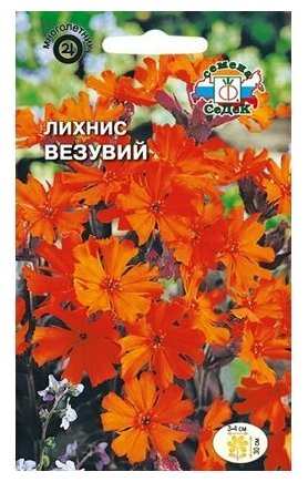 Семена лихниса СеДек Везувий 025 г