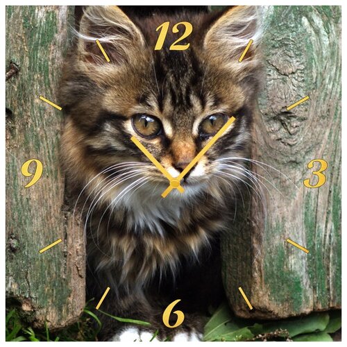 фото Svs настенные часы svs 4001840 котик