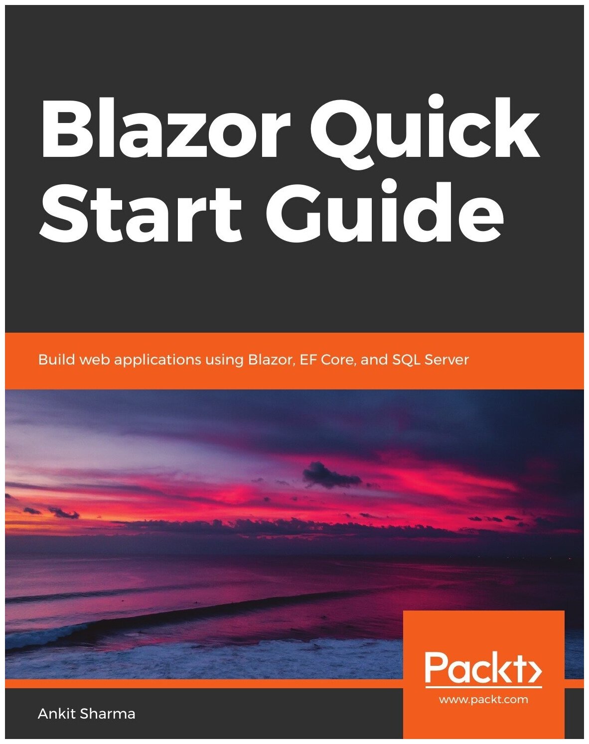 Blazor Quick Start Guide