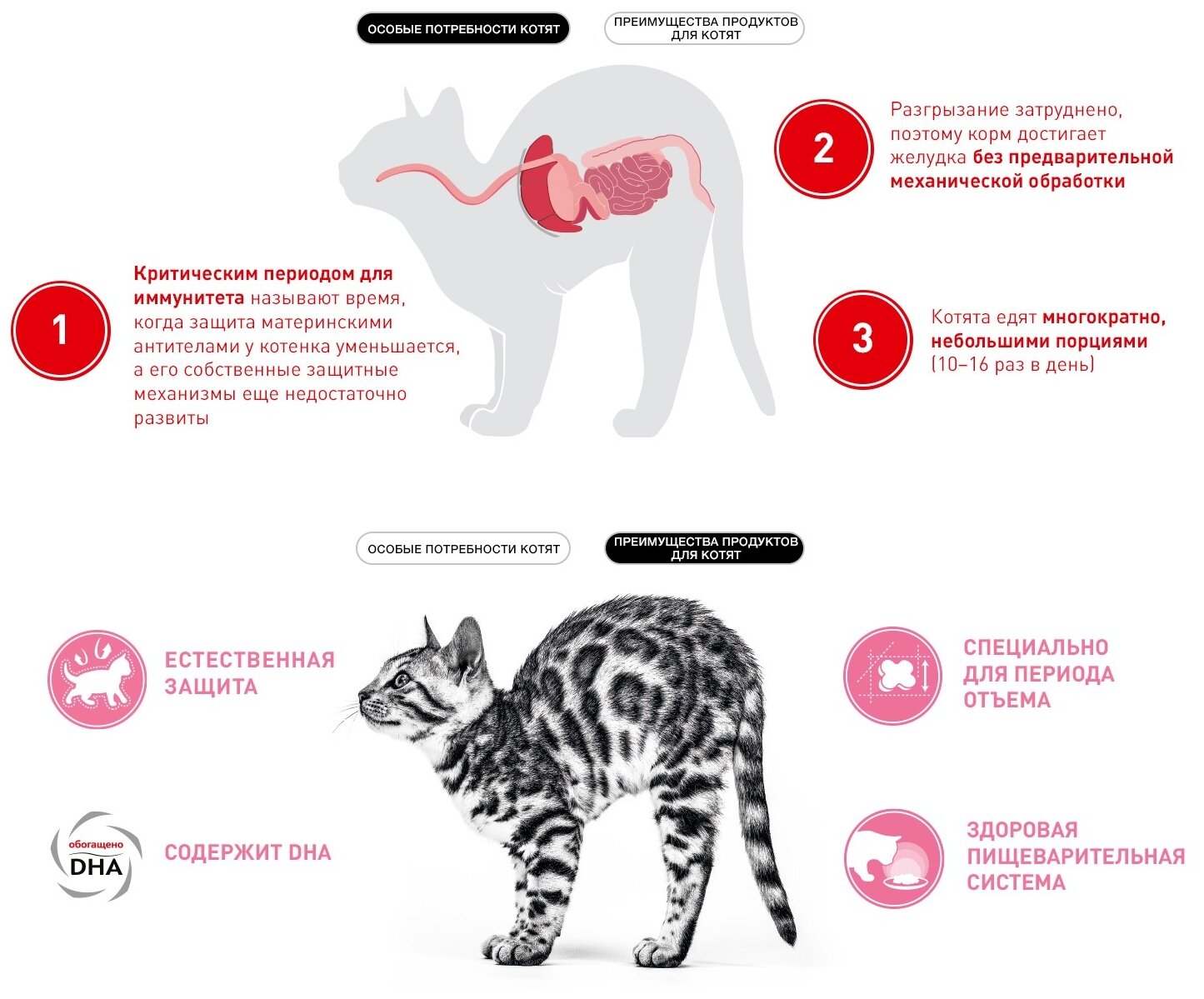 Сухой корм для беременных и кормящих кошек, для котят Royal Canin Mother&Babycat 4 шт. х 400 г - фотография № 12