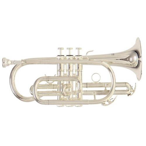 Roy Benson СR-202S Корнет Bb корнет bb carolbrass ccr 3880 gss bb l