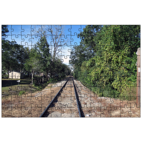 фото Магнитный пазл 27x18см."южной грузии, старые треки, ходячие мертвецы снято в начале сезона" на холодильник lotsprints