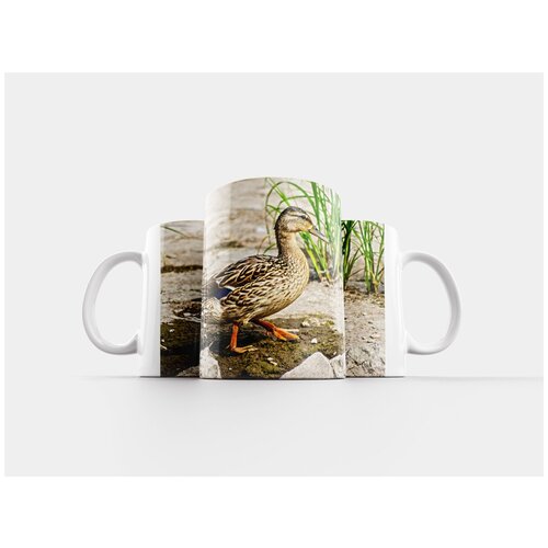 фото Кружка "кряква, утка, водоплавающая птица" 320 мл lotsprints