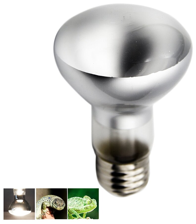 Лампа Basking Spot Lamp Normal дневного света греющая "Lucky Herp" R63, 25w, для рептилий - фотография № 4