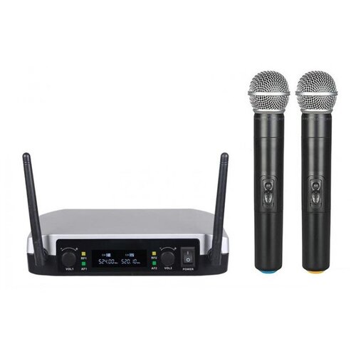 Радиосистема на два микрофона B G EU-90B 982200₽