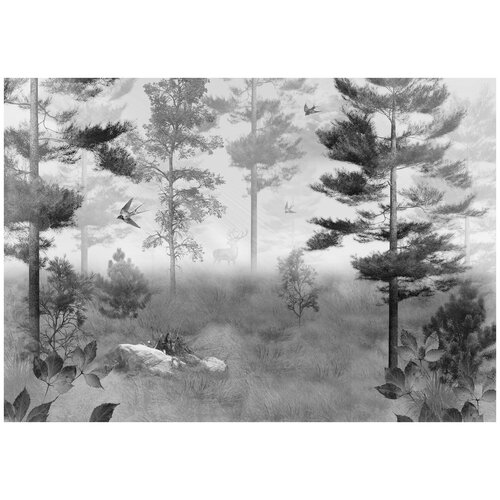 Фотообои Уютная стена Туманный лес 390х270 см Виниловые Бесшовные (единым полотном)