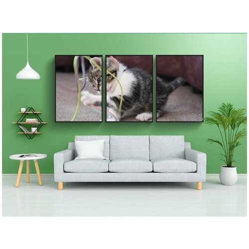 фото Набор модулных постеров для интерьера "кот, котенок, кошка ребенок" 60x90 см. в тубусе, без рамки lotsprints