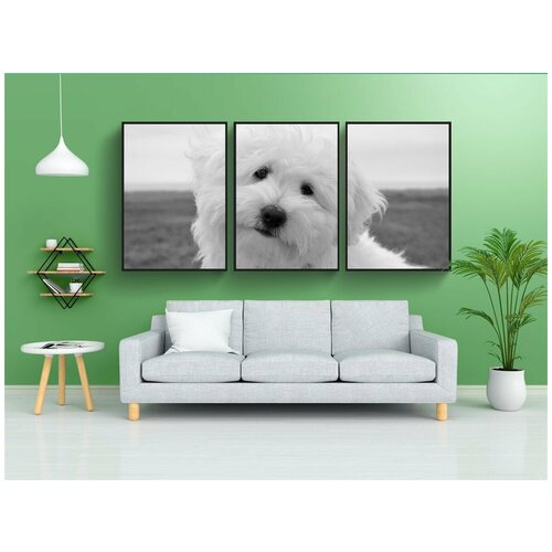 фото Набор модулных постеров для интерьера "собака, щенок, женщина хлопок тулиаре" 60x90 см. в тубусе, без рамки lotsprints