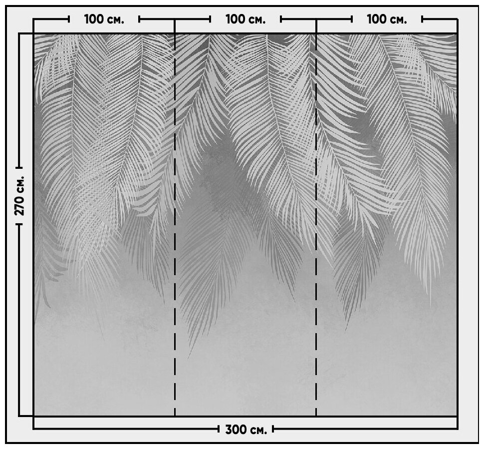 Фотообои / флизелиновые обои Листья пальмы в оттенках серого 3 x 2,7 м