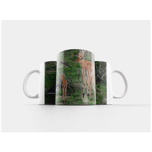 фото Кружка "семья импала, доллар, дикая природа" 320 мл lotsprints