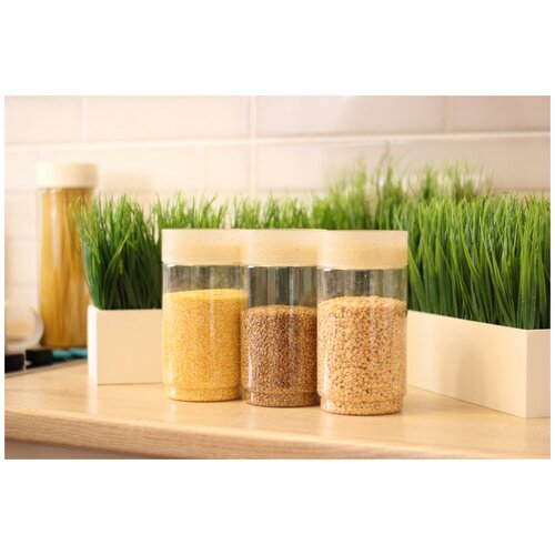 Комплект емкостей для сыпучих продуктов, 1,0 л + 1,0 л + 1,0 л, бесцветный флэк, 3 шт.