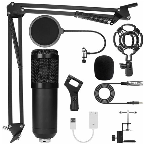 Профессиональный студийный конденсаторный микрофон BM800 с креплением и стойкой для записи звука Ф 399700₽