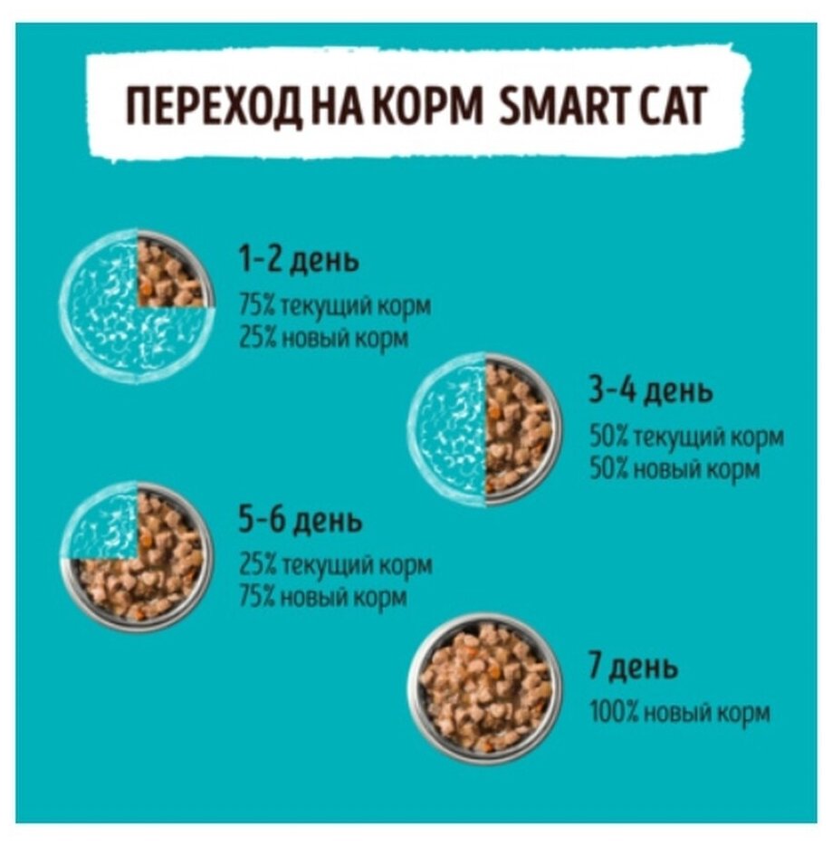 Корм Smart Cat для кошек и котят кусочки лосося в соусе, 85 г x 25 шт - фотография № 6